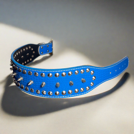 Blue Leather spiked collar