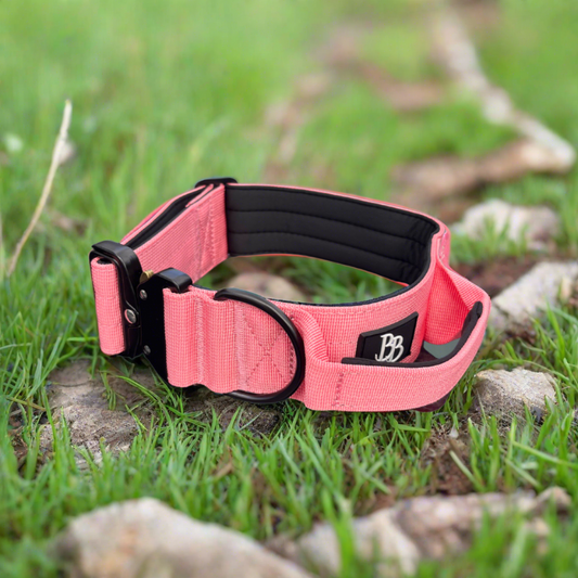 big dog collar metal buckle duty Nylon comfort Tactical combat dog collar Pet pink